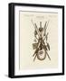 Weapons and Domestic Appliances of the Inhabitants of Nakuhiwa-null-Framed Giclee Print