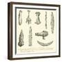 Weapons and Tools of Primitive Man-null-Framed Giclee Print