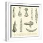 Weapons and Tools of Primitive Man-null-Framed Giclee Print