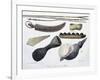 Weapons and Tools of Radak Islands, Marshall Islands-Louis Choris-Framed Giclee Print