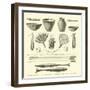 Weapons, Ornaments, Articles of Pottery, and Household Utensils of the Antis Indians-Édouard Riou-Framed Giclee Print