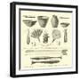 Weapons, Ornaments, Articles of Pottery, and Household Utensils of the Antis Indians-Édouard Riou-Framed Giclee Print