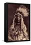 Weasel Tail (Apohsuyis). this Indian Piegan Wears the Famous War Hedge in Eagle Feathers and Weasel-Edward Sheriff Curtis-Framed Stretched Canvas