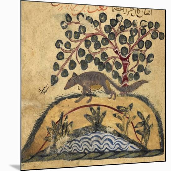 Weasel-Aristotle ibn Bakhtishu-Mounted Giclee Print