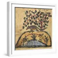 Weasel-Aristotle ibn Bakhtishu-Framed Giclee Print