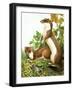 Weasels-R. B. Davis-Framed Giclee Print