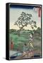 Weather Clearing at Sekiya Village, November 1861-null-Framed Stretched Canvas