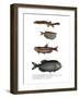 Weather Loach-null-Framed Giclee Print