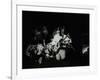 Weather Report in Concert at Colston Hall, Bristol, October 1977-Denis Williams-Framed Photographic Print