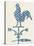 Weather Vane Rooster-Tina Carlson-Stretched Canvas