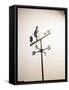 Weather Vane with Old Man and Cane-null-Framed Stretched Canvas