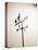 Weather Vane with Old Man and Cane-null-Stretched Canvas