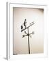 Weather Vane with Old Man and Cane-null-Framed Photographic Print