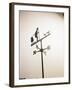 Weather Vane with Old Man and Cane-null-Framed Photographic Print