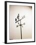 Weather Vane with Old Man and Cane-null-Framed Photographic Print