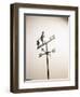 Weather Vane with Old Man and Cane-null-Framed Photographic Print