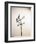 Weather Vane with Old Man and Cane-null-Framed Photographic Print