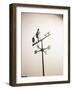 Weather Vane with Old Man and Cane-null-Framed Photographic Print