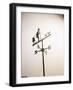 Weather Vane with Old Man and Cane-null-Framed Photographic Print