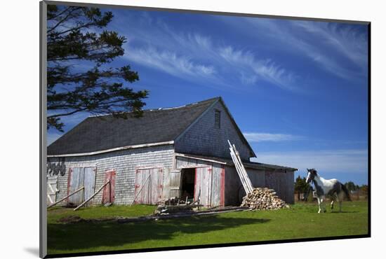 Weathered barn and horse, Guysborough County, Nova Scotia, Canada-Kymri Wilt-Mounted Photographic Print