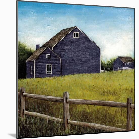 Weathered Barns Navy-David Carter Brown-Mounted Art Print