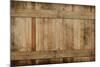 Weathered Cedar Background Panel.-Hannamariah-Mounted Photographic Print