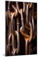 Weathered Chains-Melissa McClain-Mounted Art Print