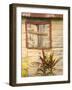 Weathered Cottage of Marie-Galante Island, Guadaloupe, Caribbean-Walter Bibikow-Framed Photographic Print