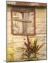 Weathered Cottage of Marie-Galante Island, Guadaloupe, Caribbean-Walter Bibikow-Mounted Photographic Print