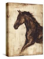 Weathered Equestrian I-Ethan Harper-Stretched Canvas