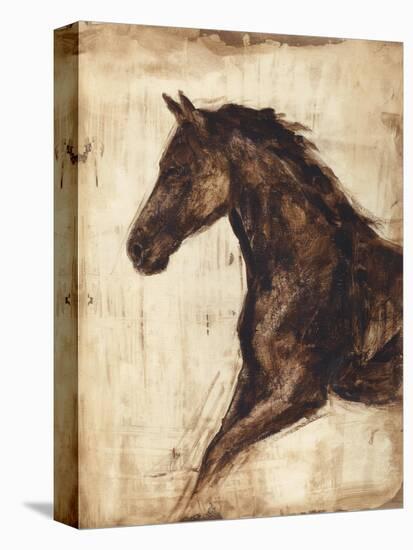 Weathered Equestrian I-Ethan Harper-Stretched Canvas