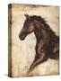 Weathered Equestrian I-Ethan Harper-Stretched Canvas