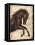 Weathered Equestrian II-Ethan Harper-Framed Stretched Canvas