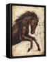 Weathered Equestrian II-Ethan Harper-Framed Stretched Canvas