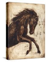 Weathered Equestrian II-Ethan Harper-Stretched Canvas