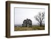 Weathered Homestead-Patrick Ziegler-Framed Photographic Print