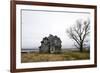 Weathered Homestead-Patrick Ziegler-Framed Photographic Print