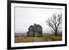 Weathered Homestead-Patrick Ziegler-Framed Photographic Print