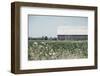 Weathered I-Elizabeth Urquhart-Framed Photographic Print