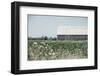 Weathered I-Elizabeth Urquhart-Framed Photographic Print