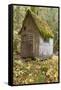 Weathered Old Cabin in Forest, Olympic National Park, Washington, USA-Jaynes Gallery-Framed Stretched Canvas