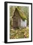 Weathered Old Cabin in Forest, Olympic National Park, Washington, USA-Jaynes Gallery-Framed Photographic Print