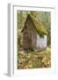 Weathered Old Cabin in Forest, Olympic National Park, Washington, USA-Jaynes Gallery-Framed Photographic Print