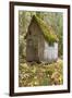 Weathered Old Cabin in Forest, Olympic National Park, Washington, USA-Jaynes Gallery-Framed Photographic Print