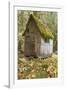 Weathered Old Cabin in Forest, Olympic National Park, Washington, USA-Jaynes Gallery-Framed Photographic Print