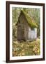 Weathered Old Cabin in Forest, Olympic National Park, Washington, USA-Jaynes Gallery-Framed Photographic Print