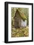 Weathered Old Cabin in Forest, Olympic National Park, Washington, USA-Jaynes Gallery-Framed Photographic Print