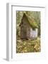 Weathered Old Cabin in Forest, Olympic National Park, Washington, USA-Jaynes Gallery-Framed Photographic Print