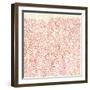 Weathered Patterns in Red I-null-Framed Art Print