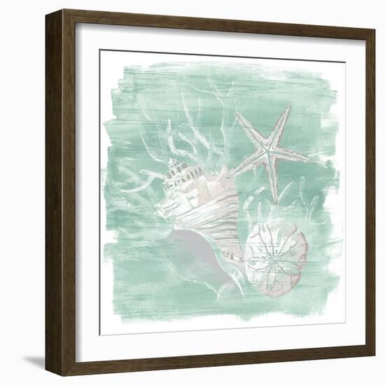 Weathered Shell Assortment I-June Vess-Framed Art Print